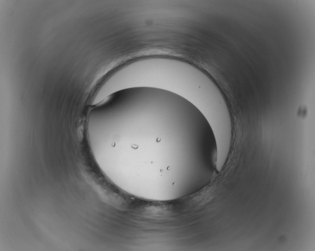 X0000112390160200909101420