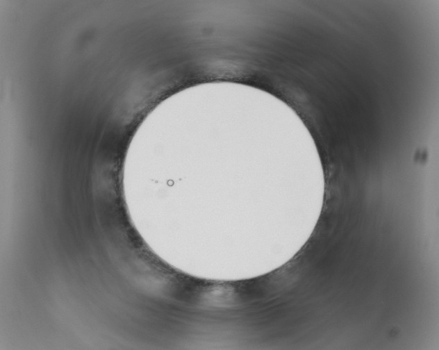 X0000112390162200909101420