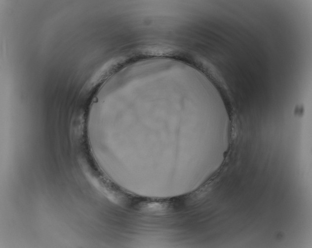 X0000112390163200909101420