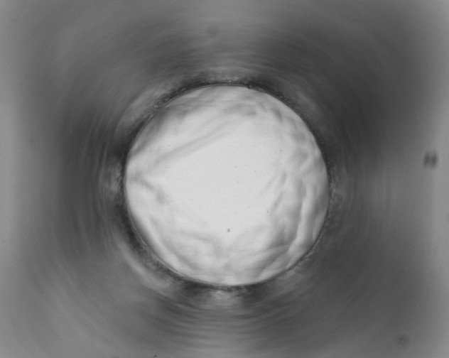 X0000112390166200909101420