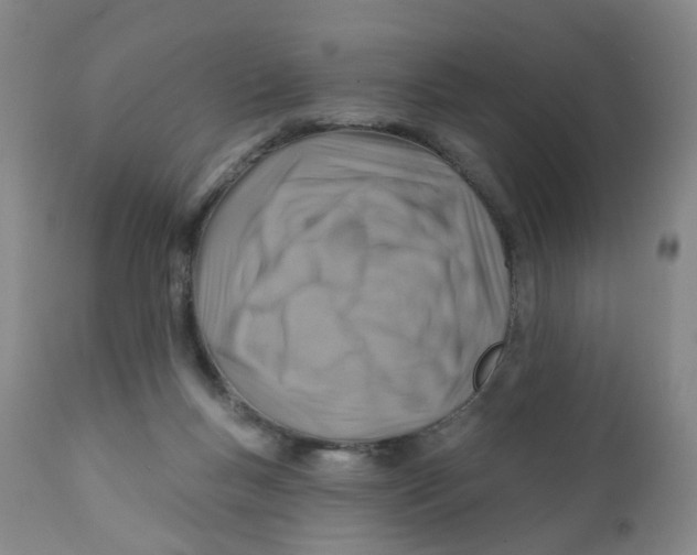 X0000112390167200909101420