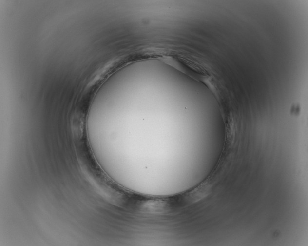 X0000112390168200909101420