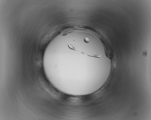 X0000112390170200909101420