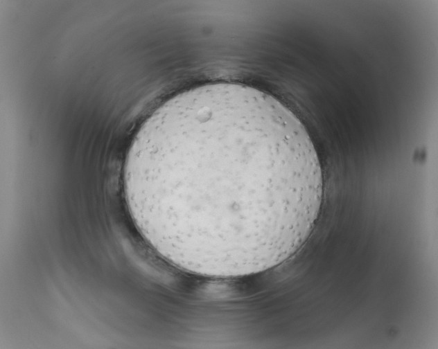 X0000112390171200909101420