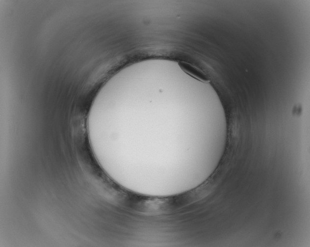 X0000112390172200909101420
