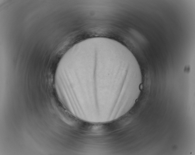 X0000112390173200909101420