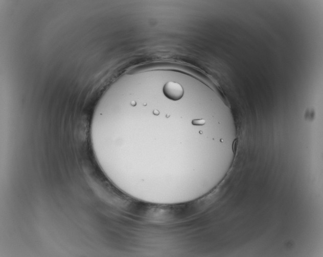 X0000112390174200909101420