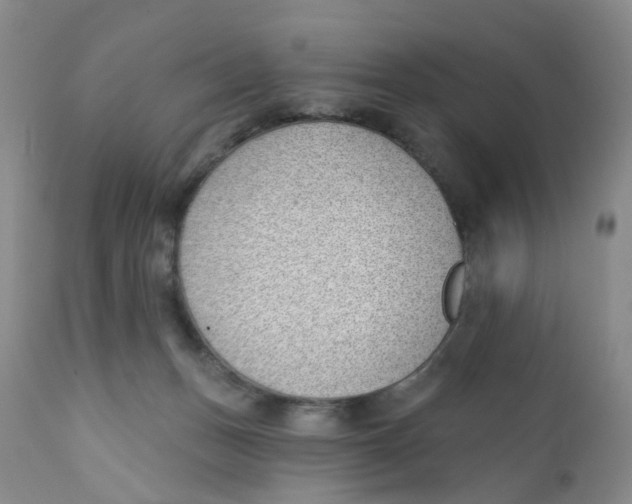 X0000112390175200909101420