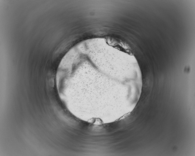 X0000112390180200909101420