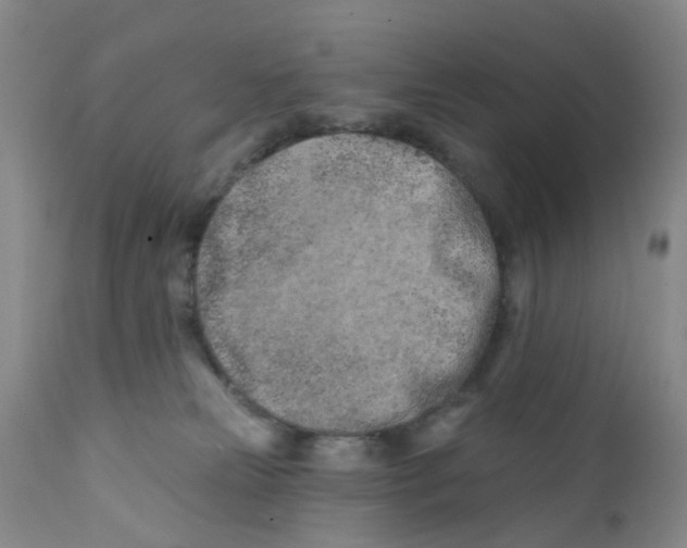 X0000112390181200909101420