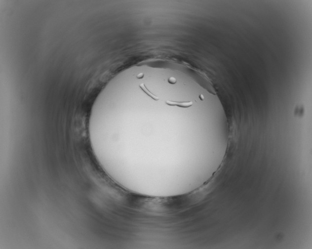 X0000112390182200909101420