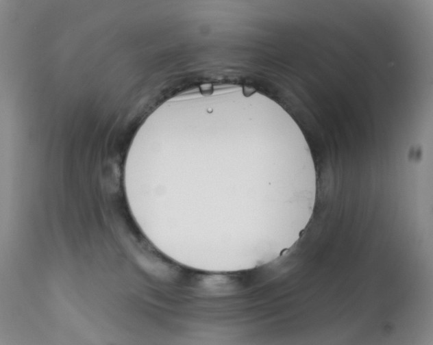 X0000112390183200909101420