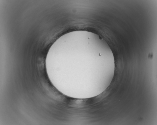 X0000112390184200909101420