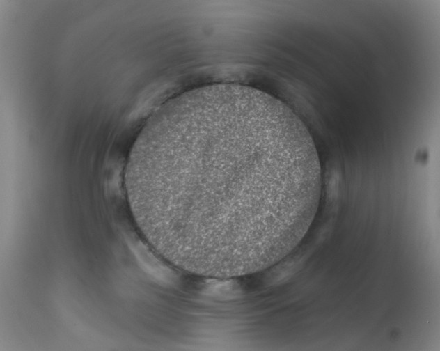 X0000112390185200909101420