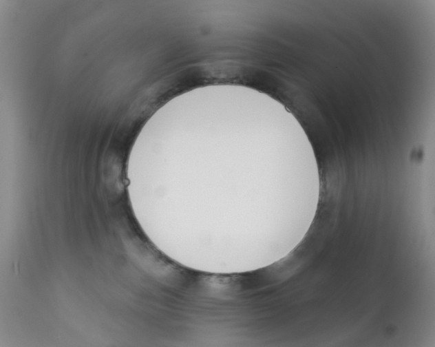 X0000112390187200909101420
