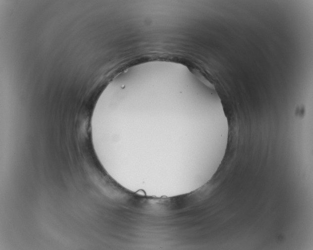 X0000112390188200909101420