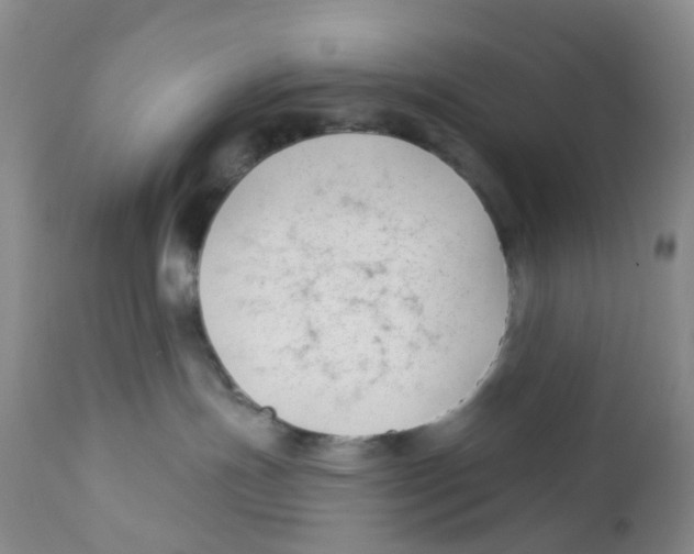 X0000112390191200909101420