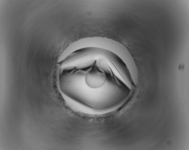X0000112390192200909101420