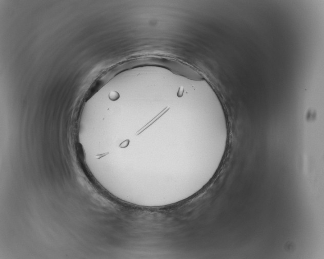 X0000112390193200909101419