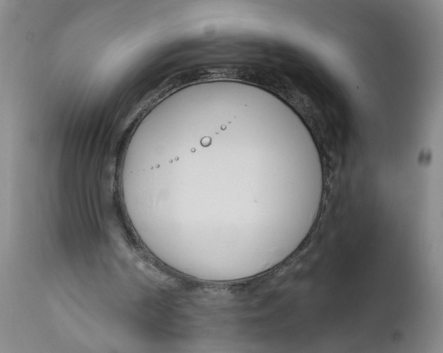 X0000112390194200909101419