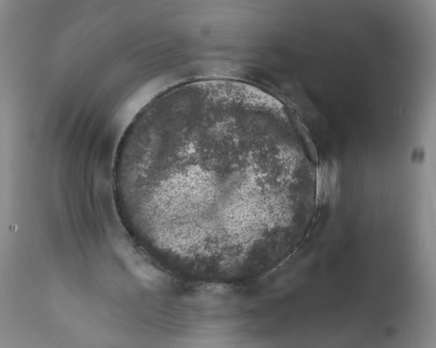 X0000112390195200909101419