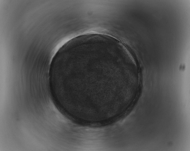 X0000112390196200909101419