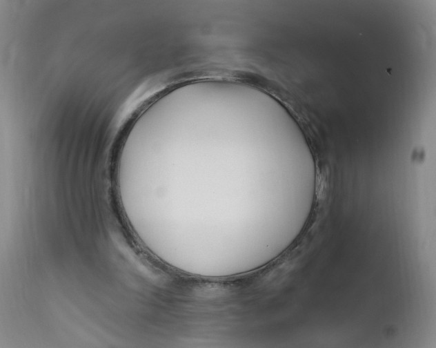 X0000112390198200909101419