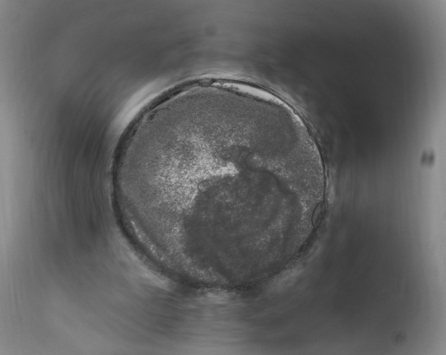 X0000112390199200909101419