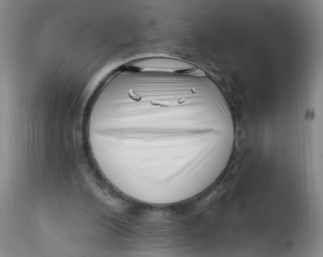 X0000112390200200909101419