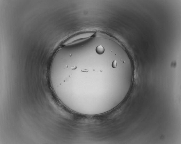 X0000112390201200909101419