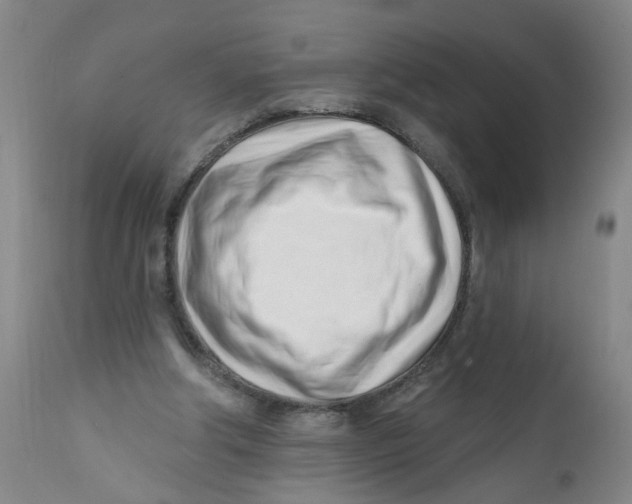 X0000112390202200909101419