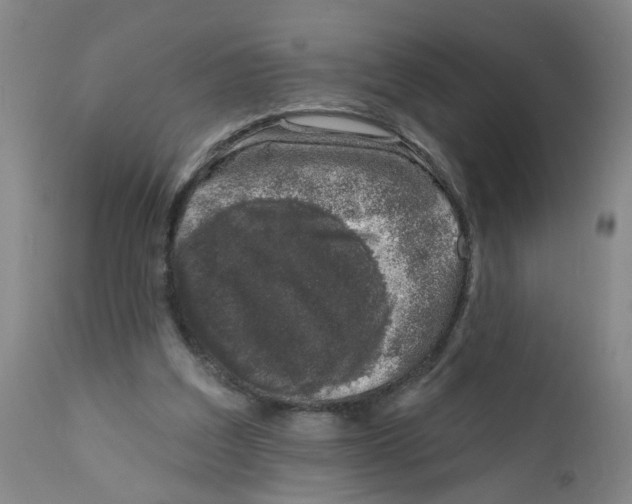 X0000112390203200909101419