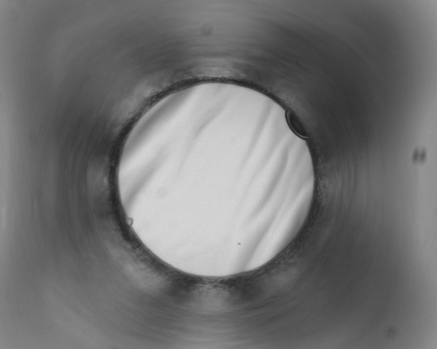 X0000112390207200909101419
