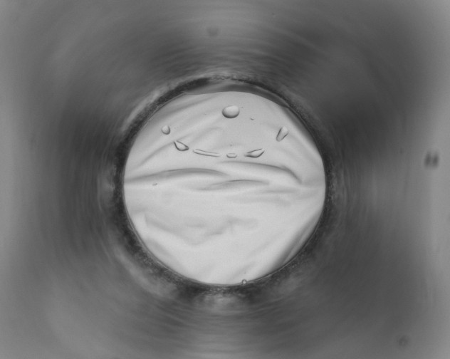 X0000112390208200909101419