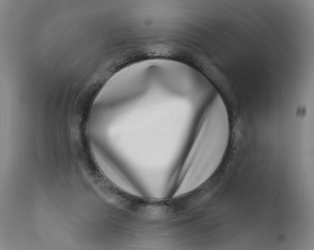 X0000112390209200909101419