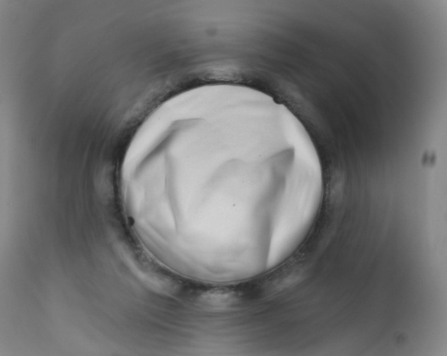 X0000112390213200909101419