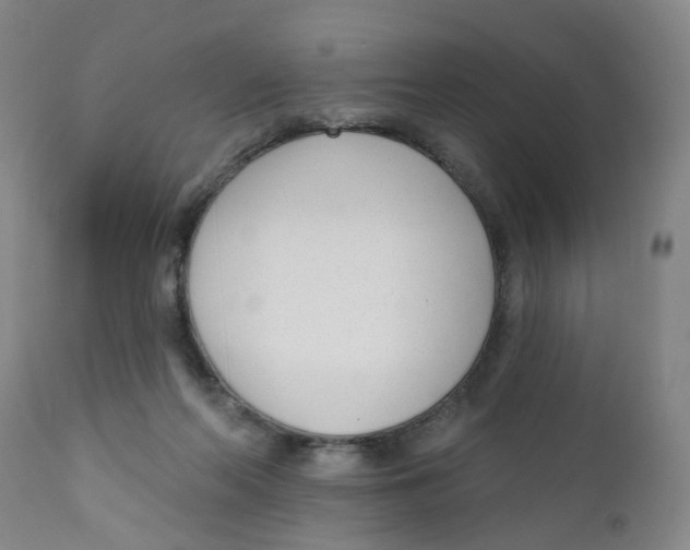 X0000112390214200909101419