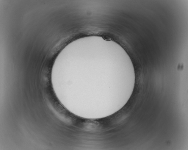 X0000112390215200909101419