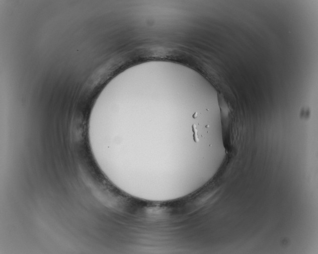 X0000112390216200909101419