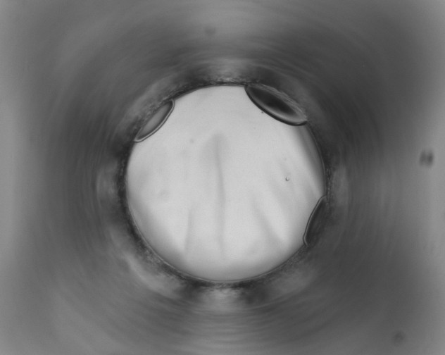 X0000112390217200909101419