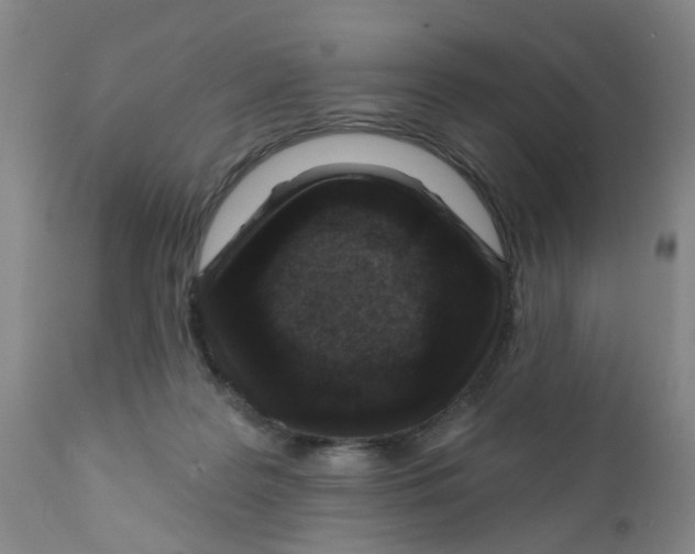 X0000112390219200909101419