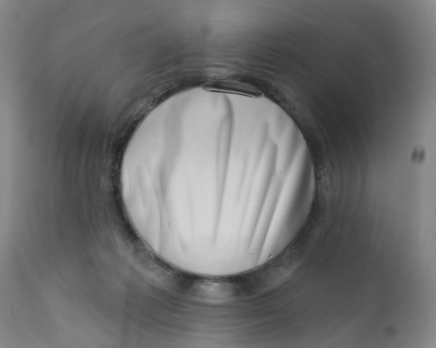 X0000112390221200909101419