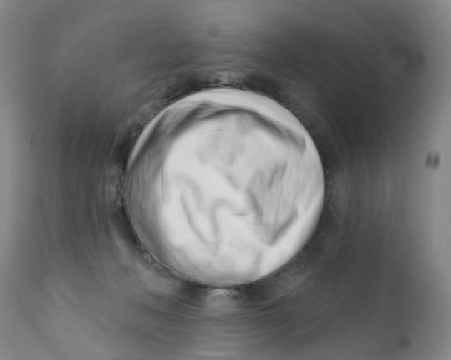 X0000112390222200909101419