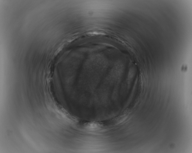 X0000112390223200909101419