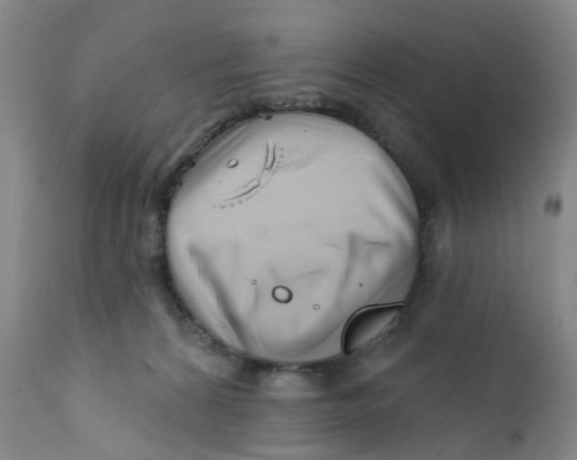 X0000112390224200909101419