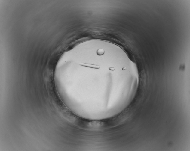 X0000112390225200909101419