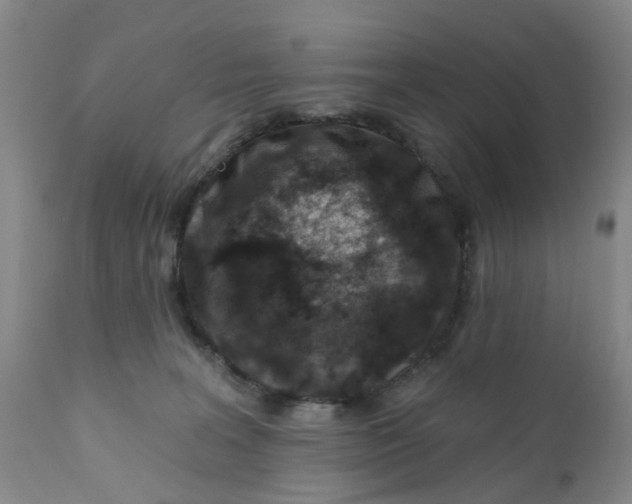 X0000112390227200909101419