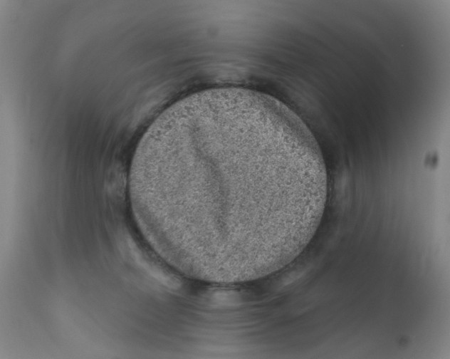 X0000112390228200909101419