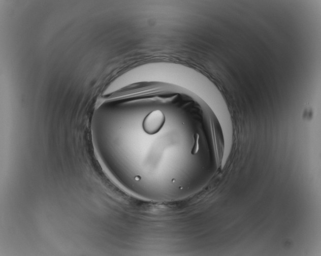 X0000112390229200909101419