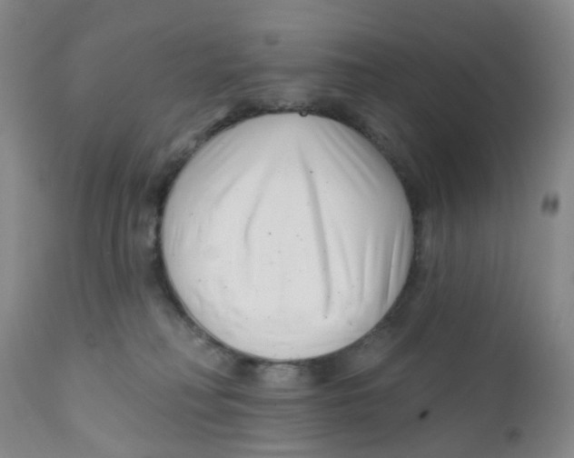 X0000112390230200909101419